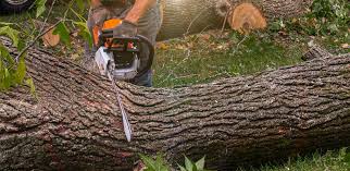 Lawn Irrigation Installation and Maintenance in Arden Arcade, CA