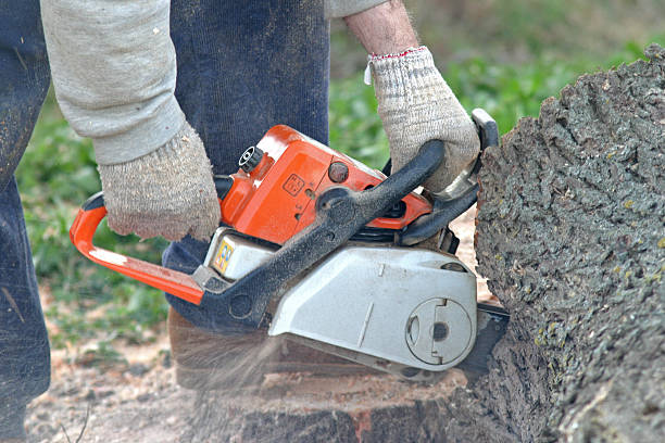 Best Lawn Maintenance Plans  in Arden Arde, CA